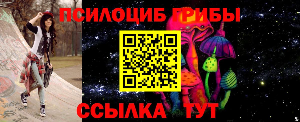 Галлюциногенные грибы Psilocybe  Псилоцибиновые грибы мицелий  Вход с VPN  Усть-Илимск 